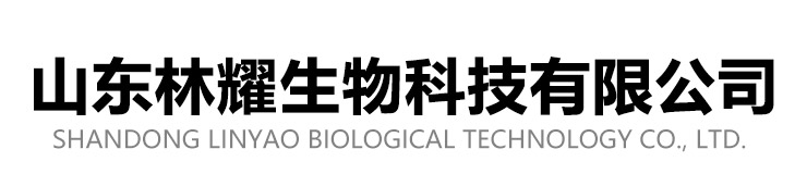 香港正版内部资料大公开