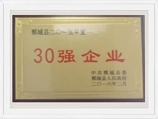 企业荣誉