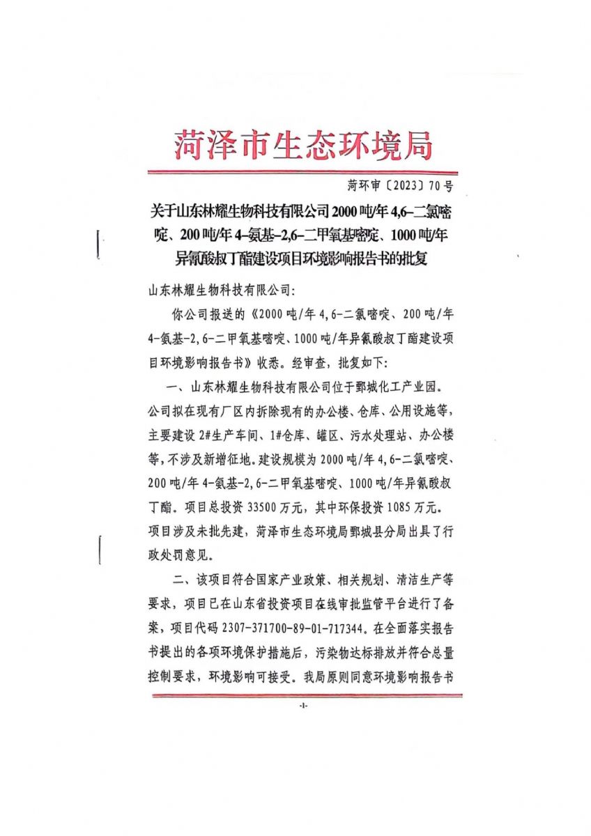 企业环境信息纰漏临时报告